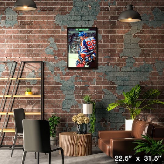 Wayne Gretzky Edmonton Oilers Framed 20" x 29" Jumping Over Bench Canvas 22.5" x 31.5"